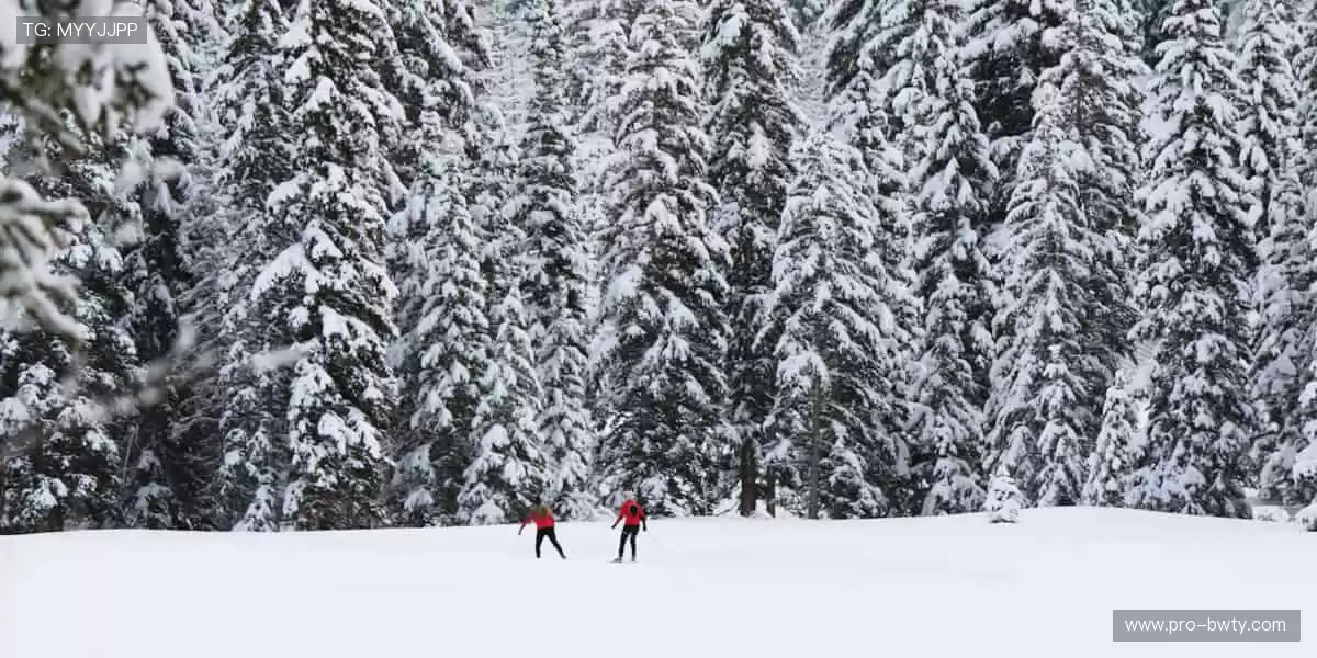 从现场到屏幕，从尖叫到欢呼！🌍🎥 我们始终与你的热爱同频共振！